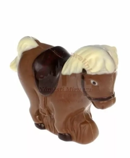 Kůň pony